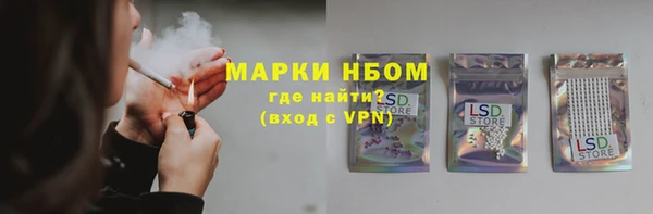 PSILOCYBIN Новодвинск