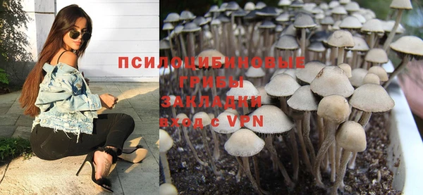 PSILOCYBIN Новодвинск